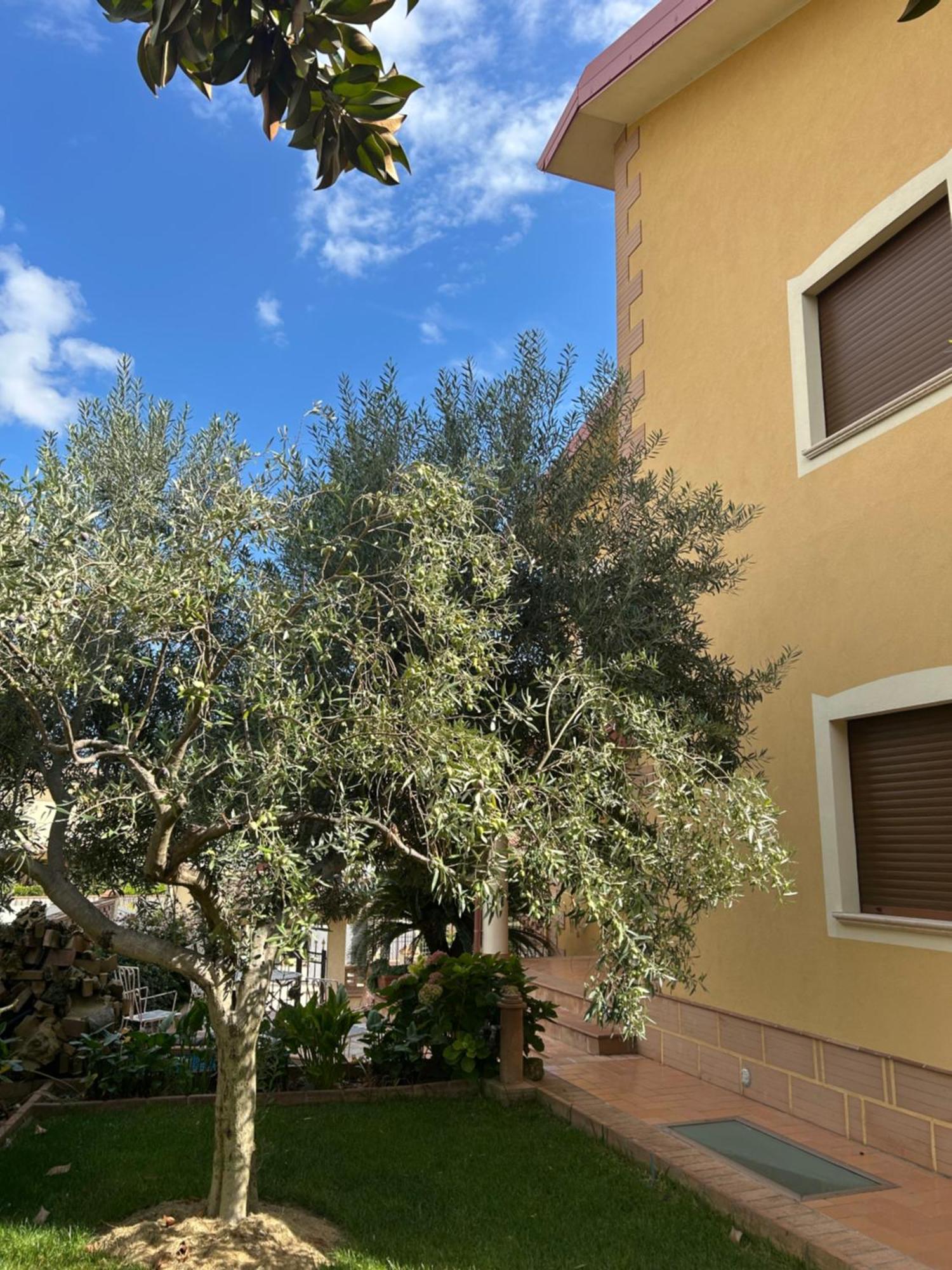 B&B Villa Maria カタンザーロ エクステリア 写真